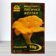 Міцелій гриба Лисичка Жовта, 10г